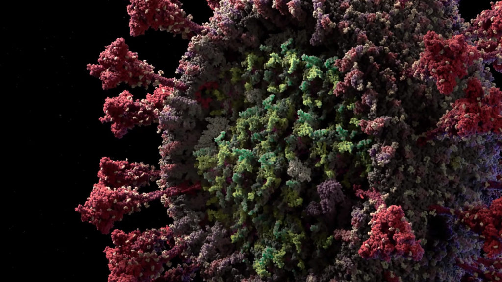 Страшный новый коронавирус SARS-CoV-2 можно увидеть во всех деталях в трехмерной модели в атомном разрешении