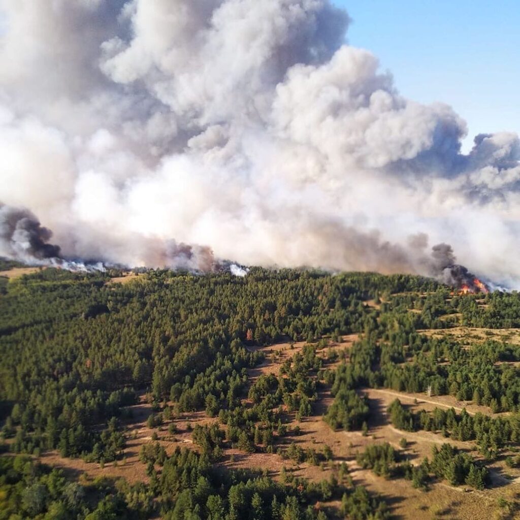 В Ростовской области пылают природные пожары. Погиб человек