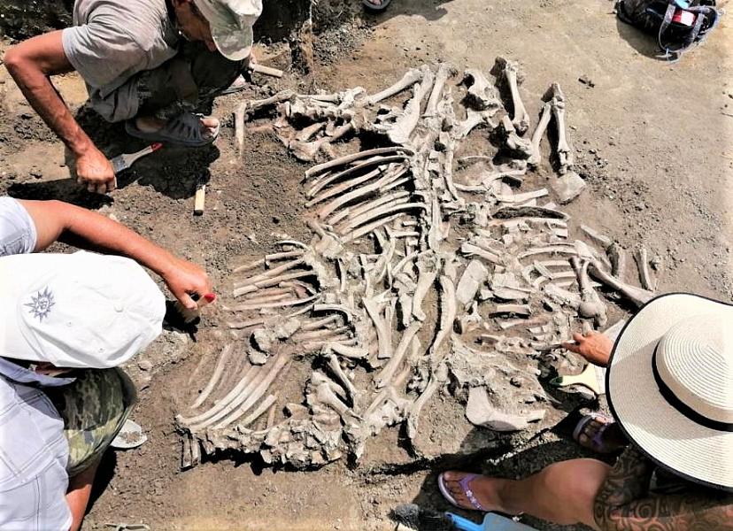 В краснодарском крае археологи раскопали поселение возрастом более 1,5 тысячи лет