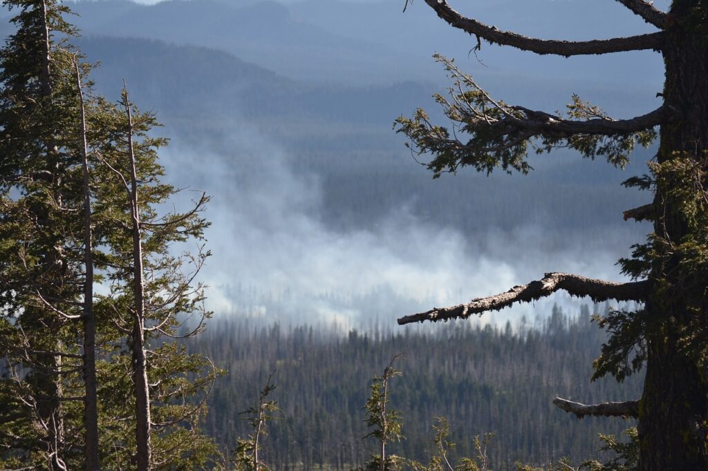 Дым от лесных пожаров в Сибири впервые достиг Северного полюса