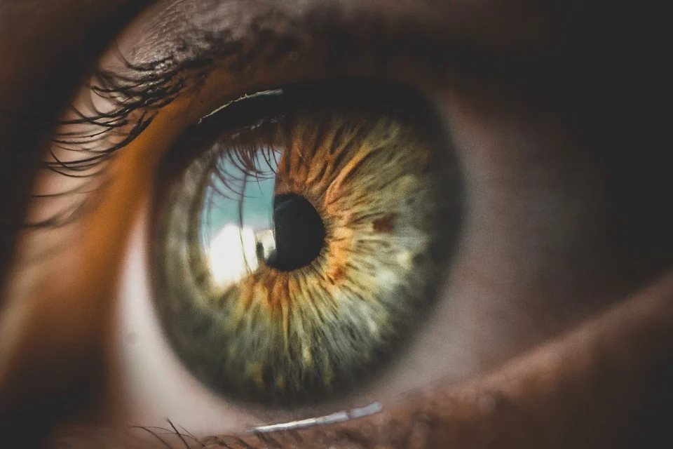 О риске слишком ранней смерти научились узнавать по сетчатке глаза