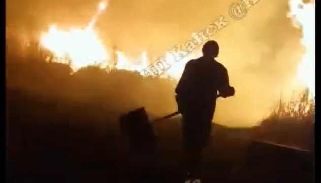 В Красноярском крае пожар сжег 6 десятков дачных участков. Жуткое видео