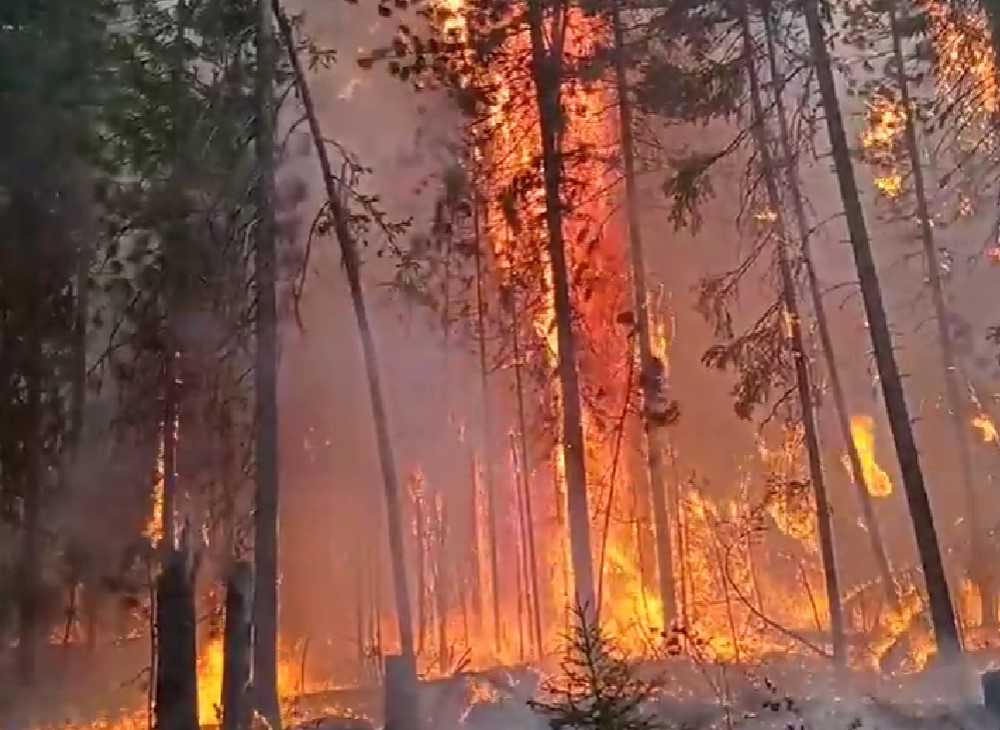 В Ханты-Мансийском округе бушуют лесные пожары