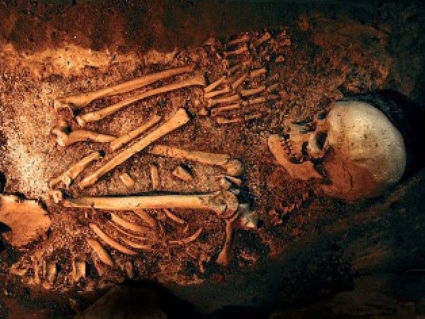 Археологи нашли останки трехметровых древних людей на Кавказе
